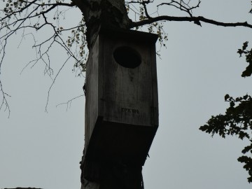 Czas na przeglądy budek lęgowych, W. Pogorzelska